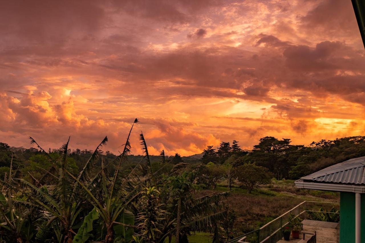 Hostel La Suerte Monteverde Ngoại thất bức ảnh