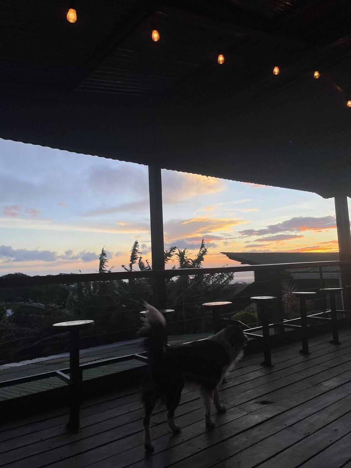 Hostel La Suerte Monteverde Ngoại thất bức ảnh