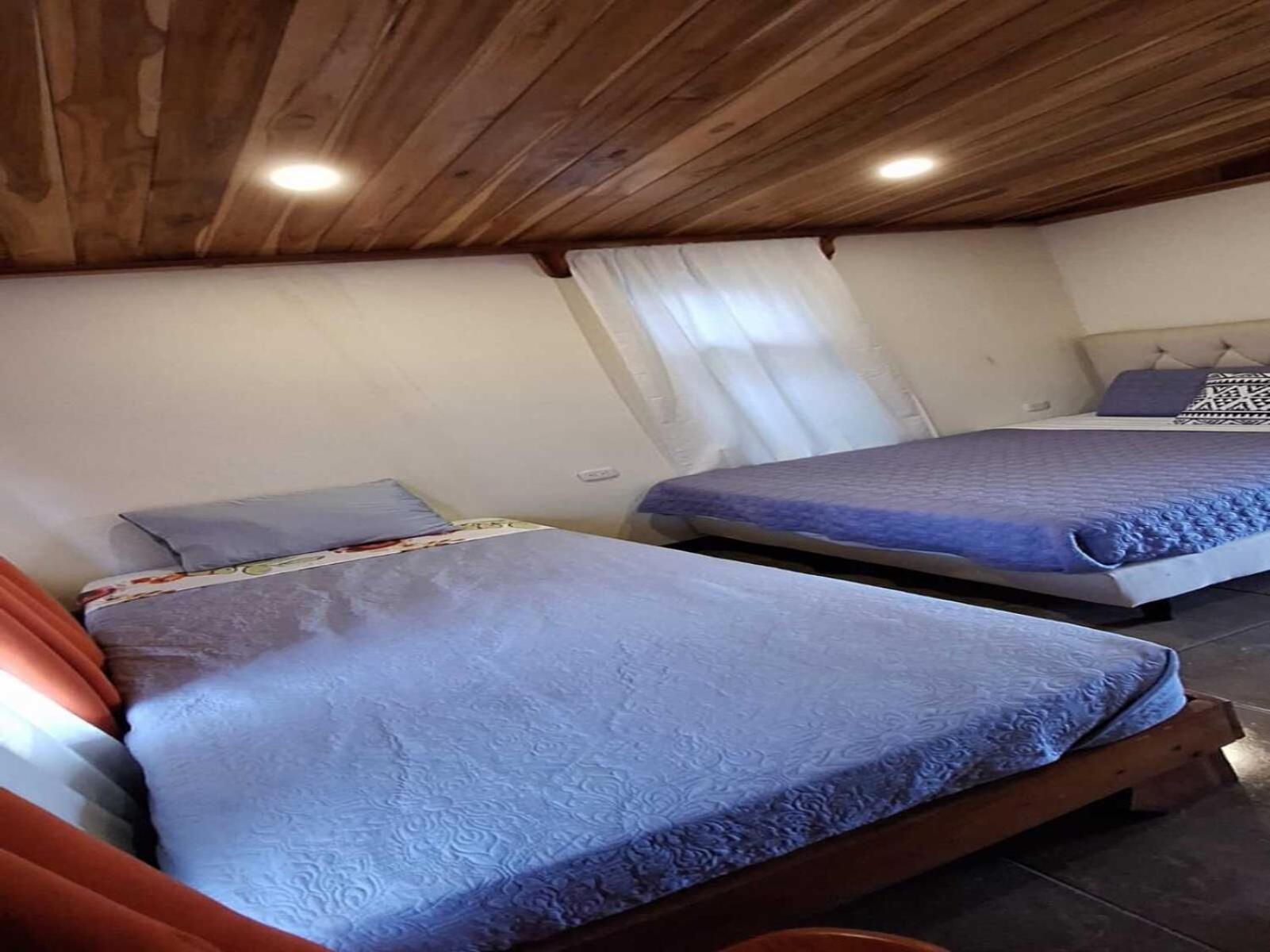 Hostel La Suerte Monteverde Ngoại thất bức ảnh
