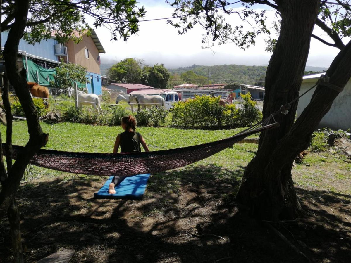 Hostel La Suerte Monteverde Ngoại thất bức ảnh